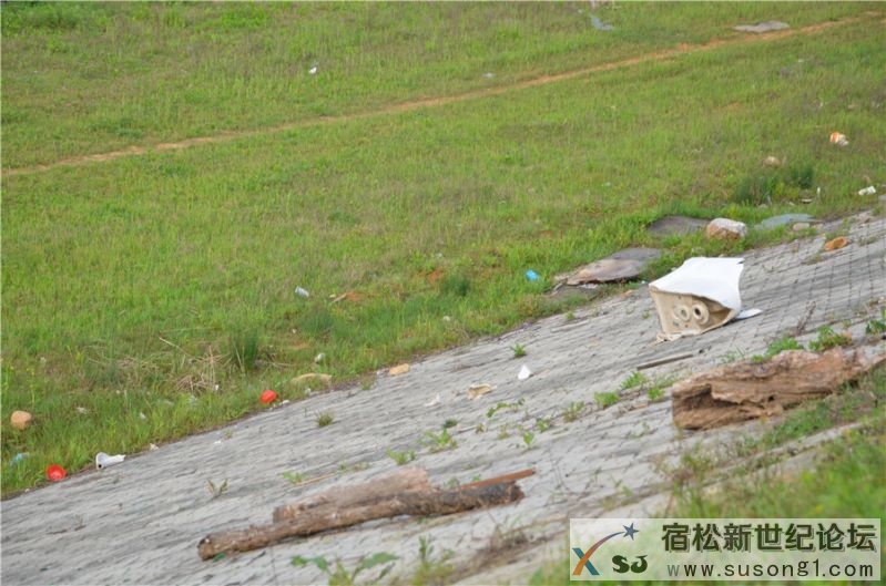 2015宿松新世纪论坛水资源保护公益活动06.jpg