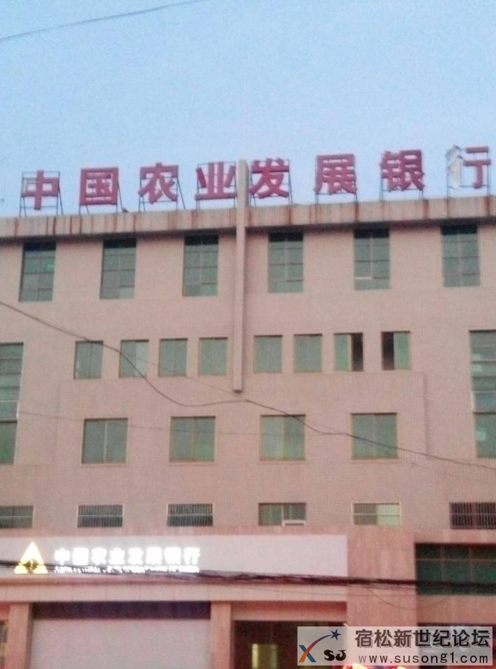 110306rnxuuuiput3xgutz.jpg