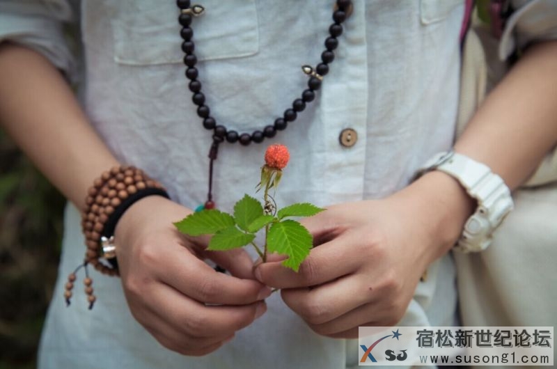 QQ图片20150510200255.jpg