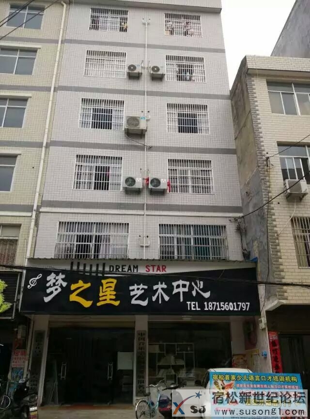 宿松梦之星艺术 (1).jpg