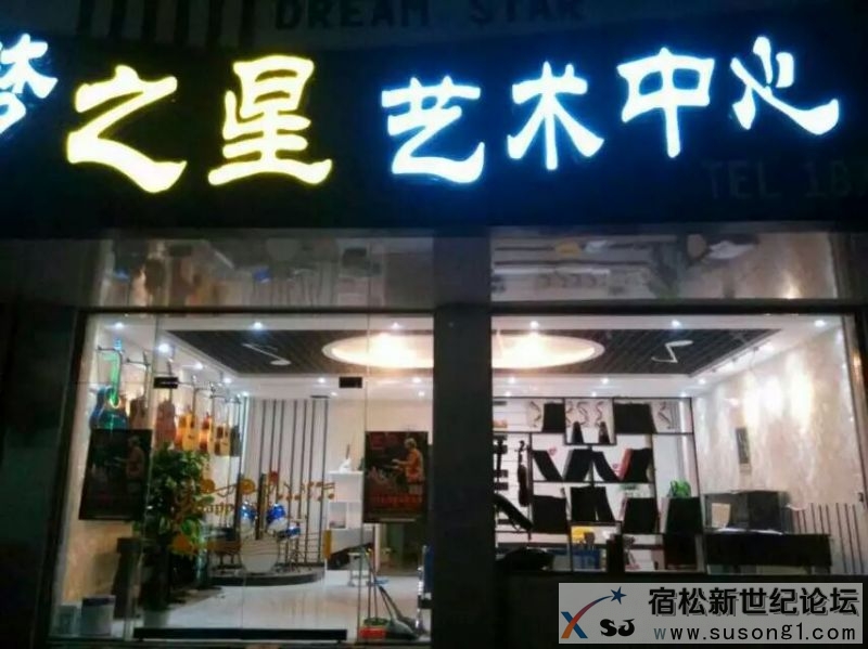 宿松梦之星艺术 (5).jpg