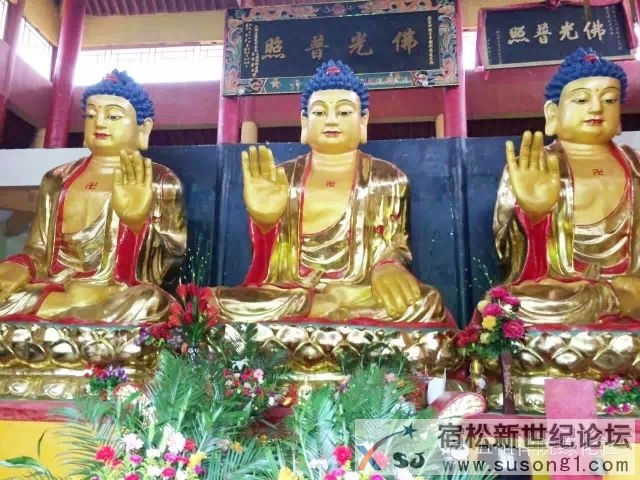 安徽宿松妙缘禅寺隆重举行开光法会(随喜转发 功德无量) (4).jpg