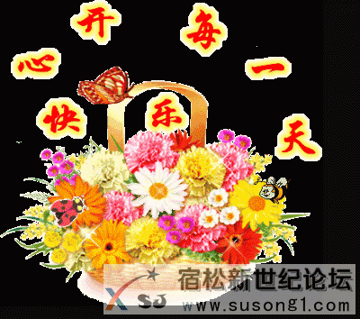 端午节快乐