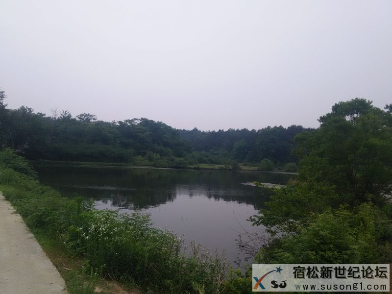IMG20150525075545.jpg
