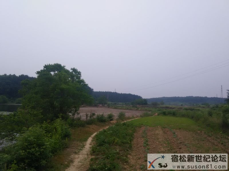 IMG20150525075549.jpg