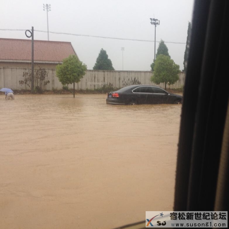 QQ图片20150529095351.jpg