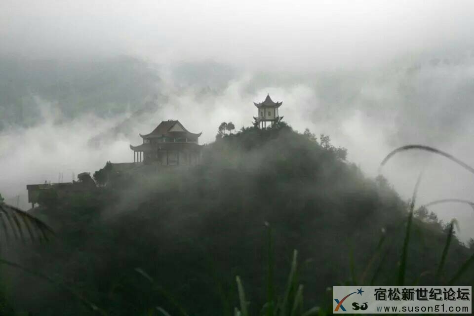 094351s8mp5wu2u5wi89w4.jpeg