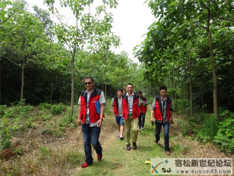 宿松公益协会五月份走访公示，宿松新世纪论坛公益协会摄 (11).JPG
