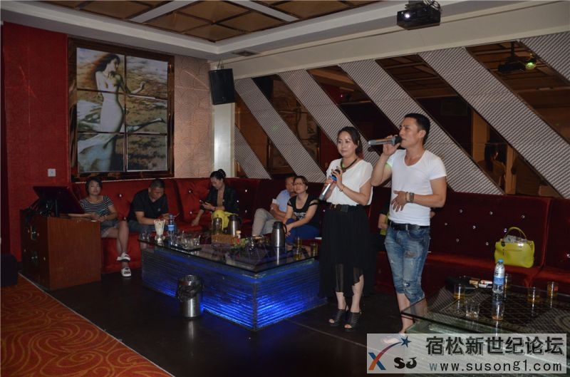 海天丽景KTV宿松新世纪论坛何仁摄22.jpg