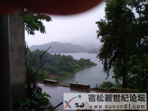 IMG_20150617_111646.jpg