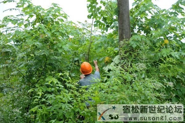 县供电公司系统雷雨抢修保电忙