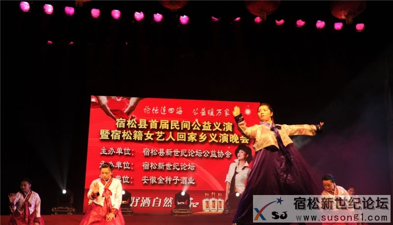 宿松籍艺人张真菲回家乡义演剪影
