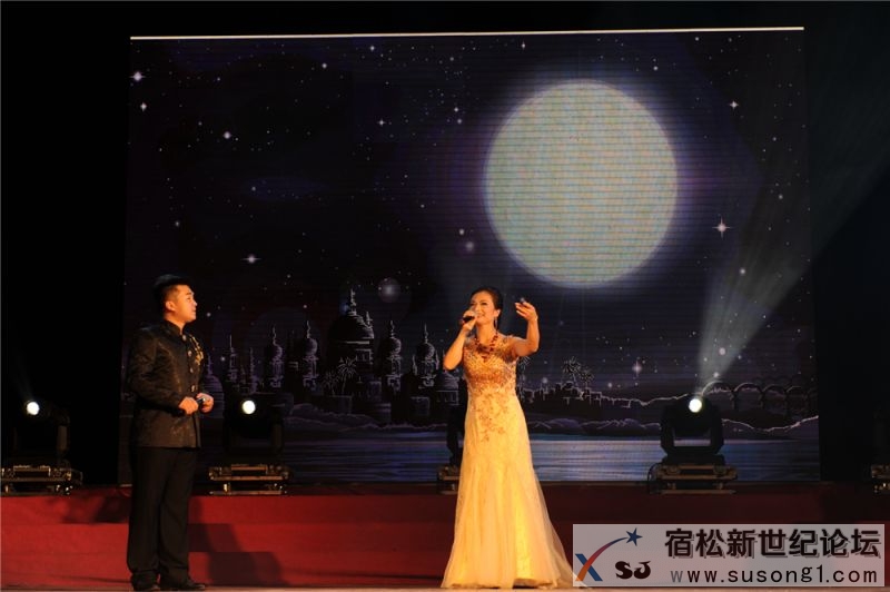 宿松籍艺人张真菲回家乡义演剪影