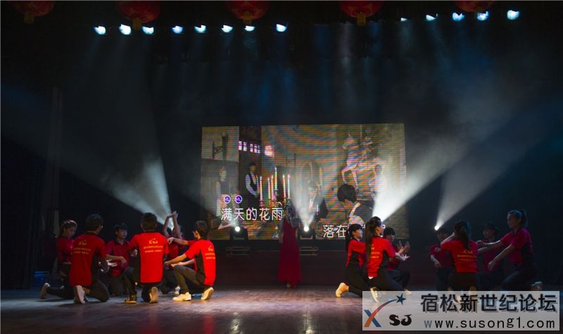 宿松籍艺人张真菲回家乡义演剪影