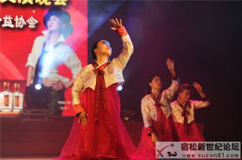 宿松县首届民间公益义演暨宿松籍艺人张真菲回家乡义演13.jpg