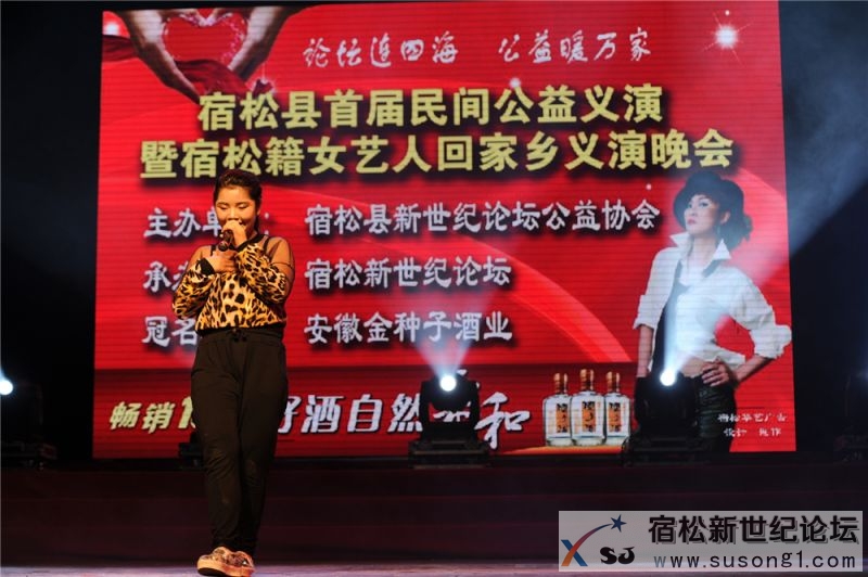 宿松县首届民间公益义演暨宿松籍艺人张真菲回家乡义演18.jpg