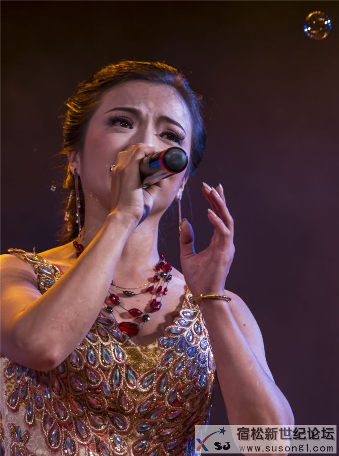 宿松县首届民间公益义演暨宿松籍艺人张真菲回家乡义演36.jpg