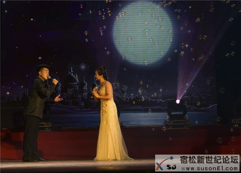 宿松县首届民间公益义演暨宿松籍艺人张真菲回家乡义演38.jpg