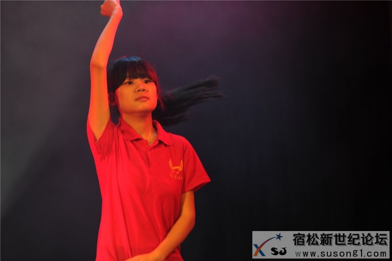 宿松县首届民间公益义演暨宿松籍艺人张真菲回家乡义演40.jpg