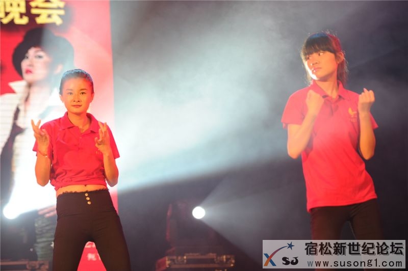 宿松县首届民间公益义演暨宿松籍艺人张真菲回家乡义演41.jpg