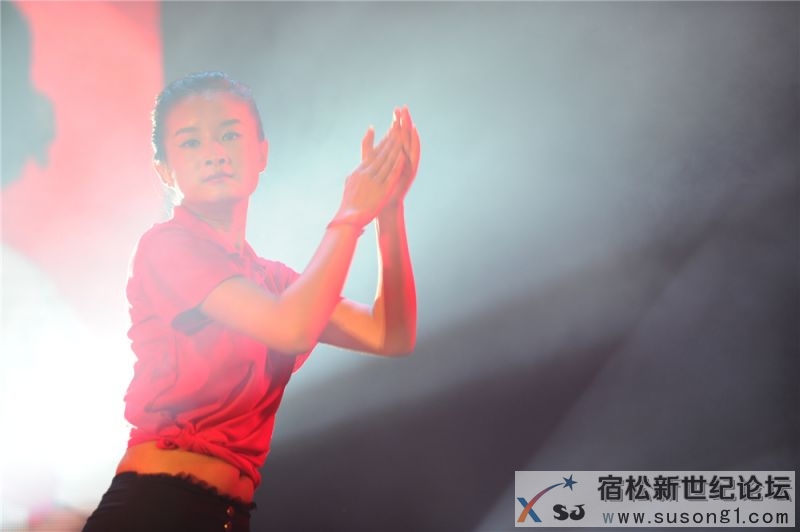 宿松县首届民间公益义演暨宿松籍艺人张真菲回家乡义演42.jpg