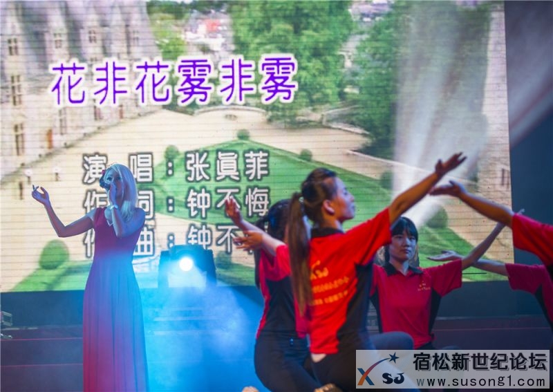 宿松县首届民间公益义演暨宿松籍艺人张真菲回家乡义演53.jpg