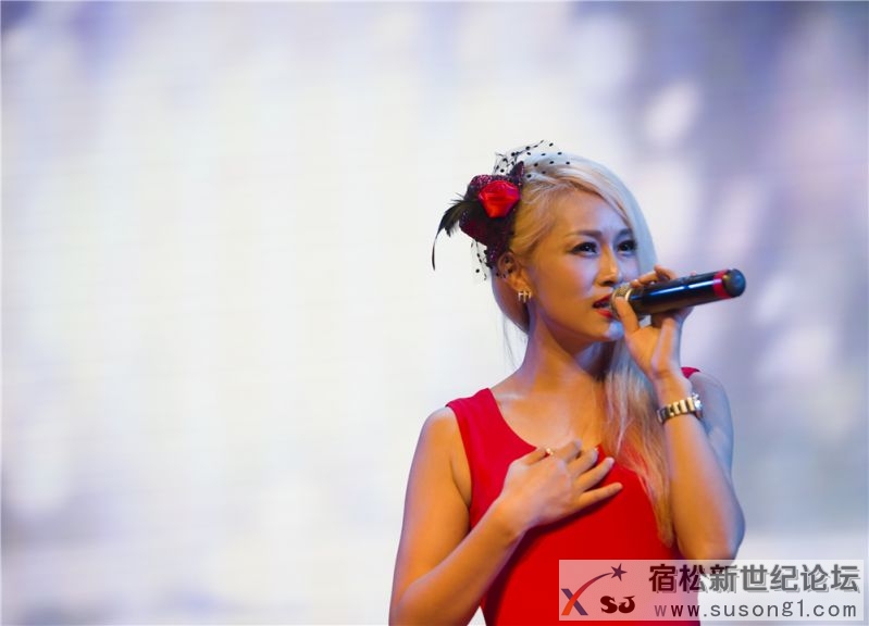 宿松县首届民间公益义演暨宿松籍艺人张真菲回家乡义演59.jpg