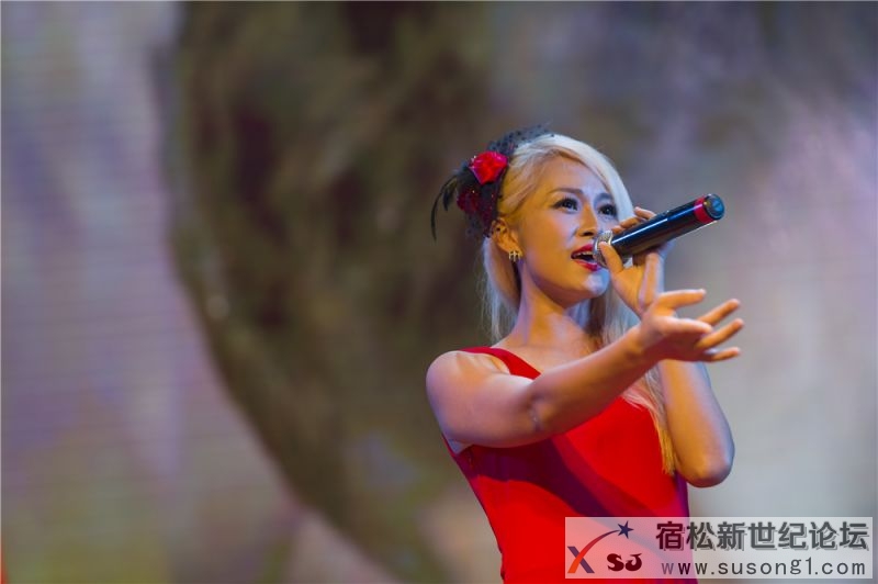 宿松县首届民间公益义演暨宿松籍艺人张真菲回家乡义演61.jpg
