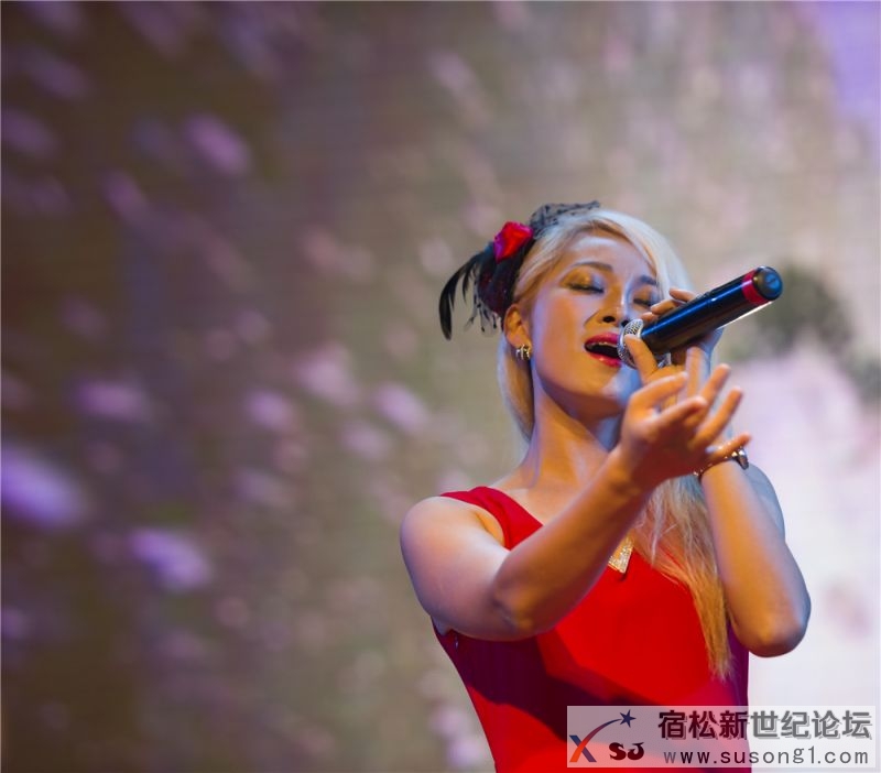 宿松县首届民间公益义演暨宿松籍艺人张真菲回家乡义演63.jpg