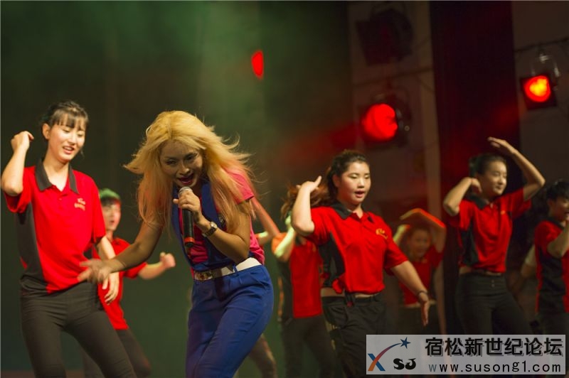 宿松县首届民间公益义演暨宿松籍艺人张真菲回家乡义演73.jpg