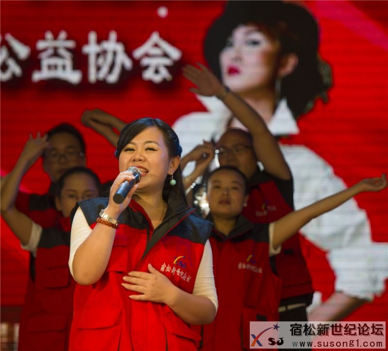 宿松县首届民间公益义演暨宿松籍艺人张真菲回家乡义演80.jpg