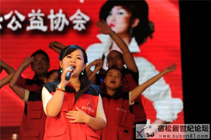 宿松县首届民间公益义演暨宿松籍艺人张真菲回家乡义演82.jpg