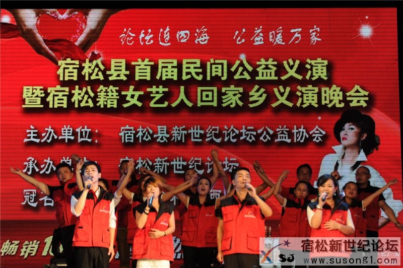 宿松县首届民间公益义演暨宿松籍艺人张真菲回家乡义演83.jpg
