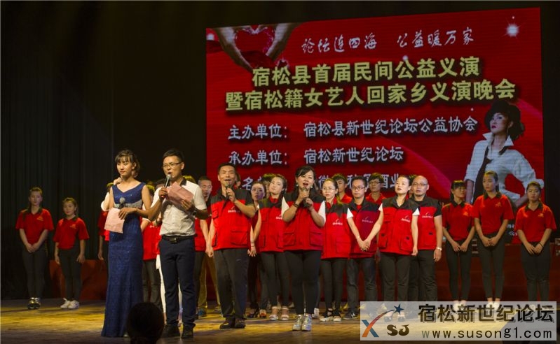 宿松县首届民间公益义演暨宿松籍艺人张真菲回家乡义演86.jpg