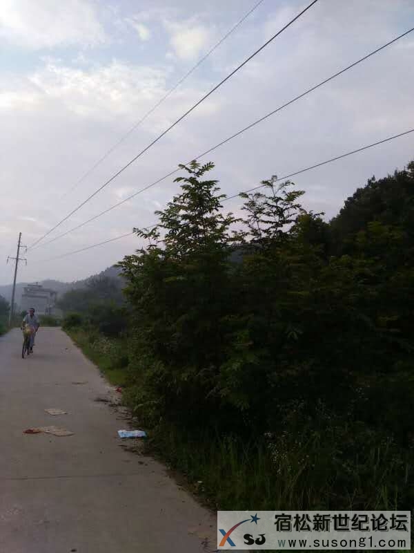 六国矿业与县有关部门无识人民生命财产安全