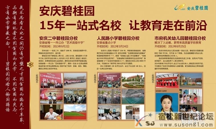 安庆碧桂园特价房组团买房了