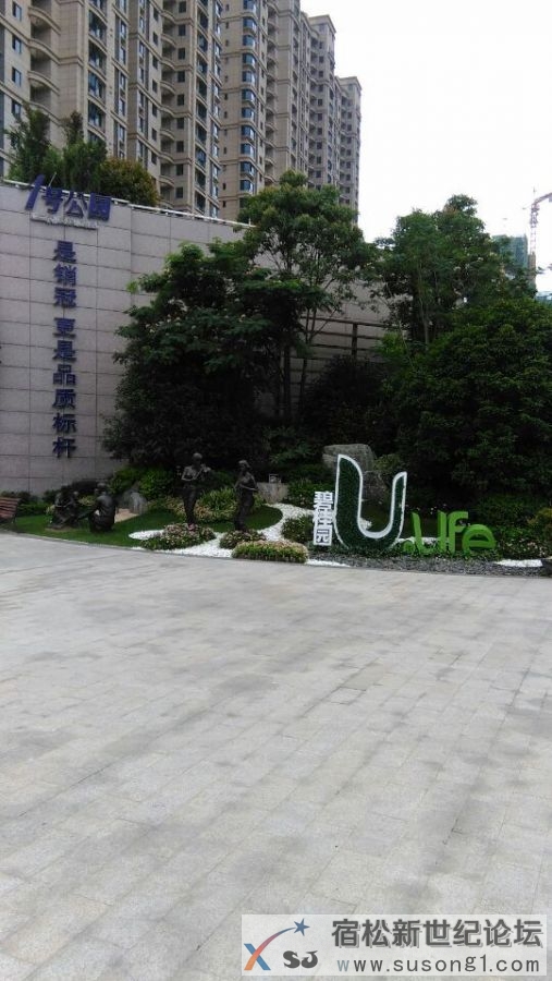 安庆碧桂园特价房组团买房了