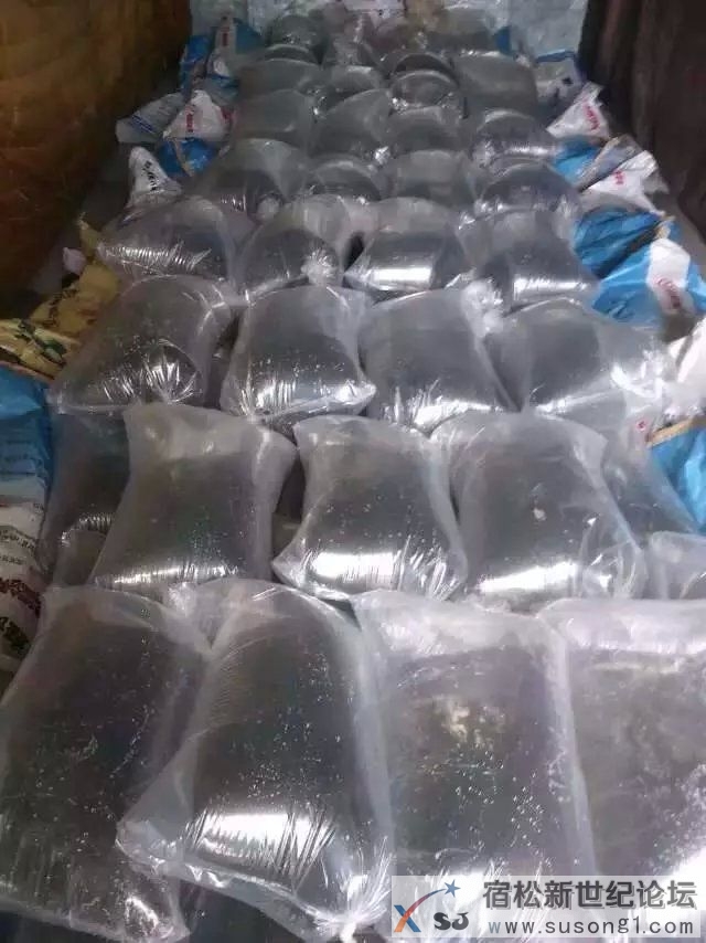 宿松龙源水产养殖专题采访视频