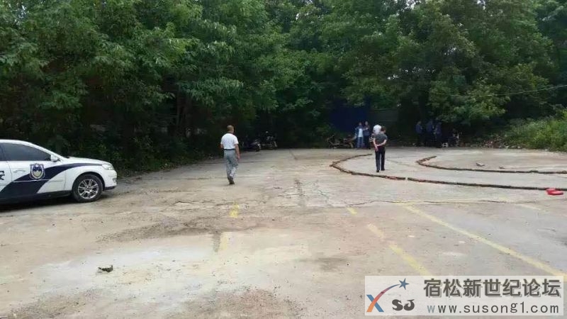 宿松黑教练，黑教练车有多少？