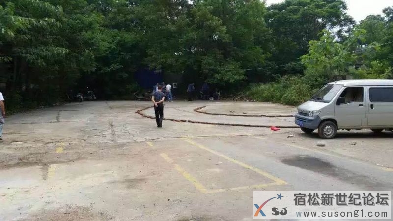 宿松黑教练，黑教练车有多少？