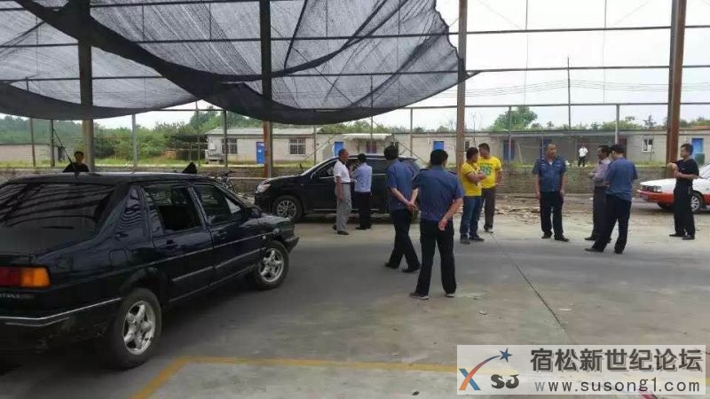 宿松黑教练，黑教练车有多少？