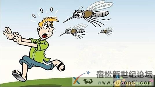 夏天来啦，宿松人民哪些容易被叮~