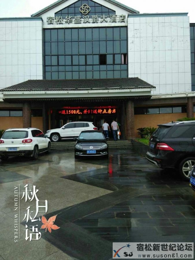 欢乐家伴君行宿松新世纪论坛