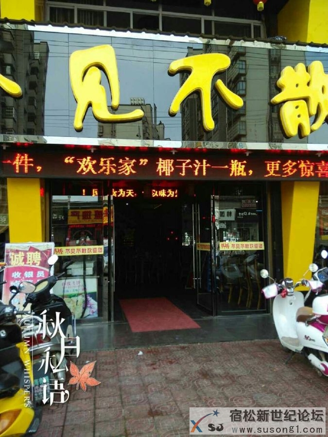 欢乐家伴君行宿松新世纪论坛