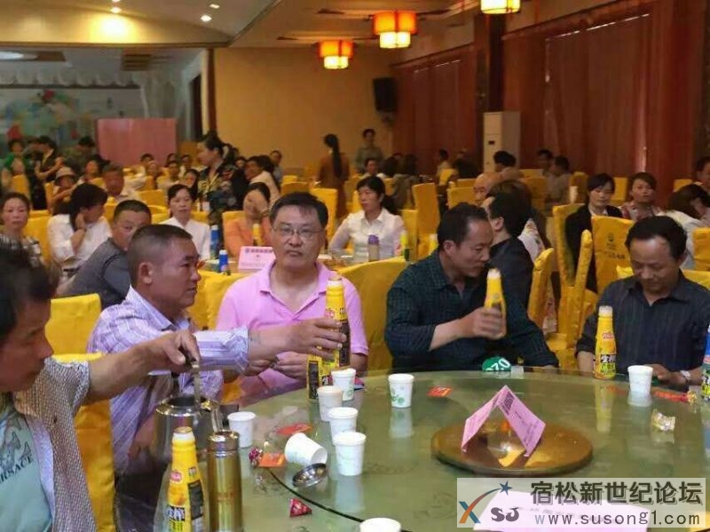 欢乐家伴君行宿松新世纪论坛