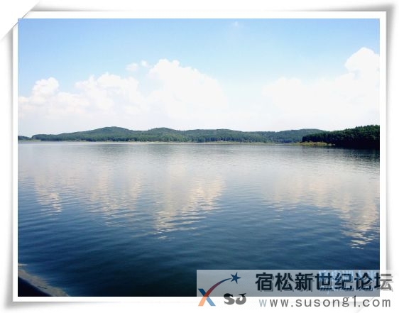 农家优质放心米，产地直邮，种植过程全程直播宿松新世纪论坛