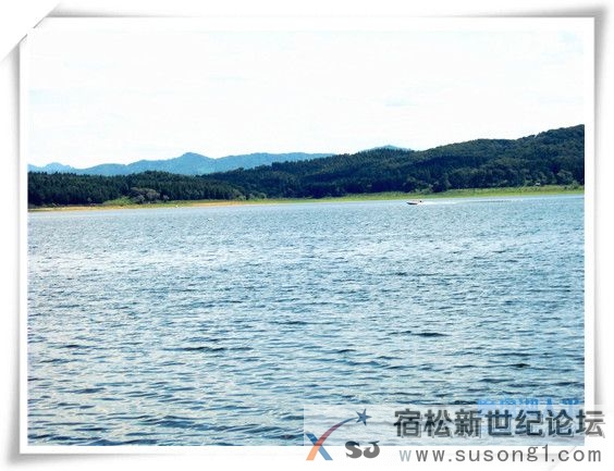 农家优质放心米，产地直邮，种植过程全程直播宿松新世纪论坛