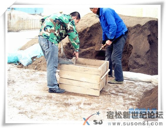 农家优质放心米，产地直邮，种植过程全程直播宿松新世纪论坛