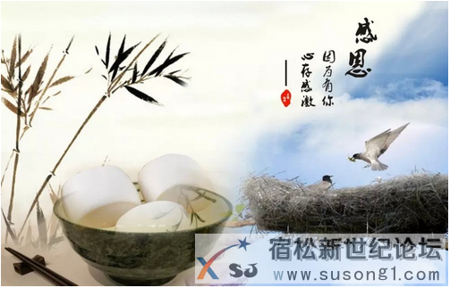宿松人每天坚持八件事，运气越来越好宿松新世纪论坛