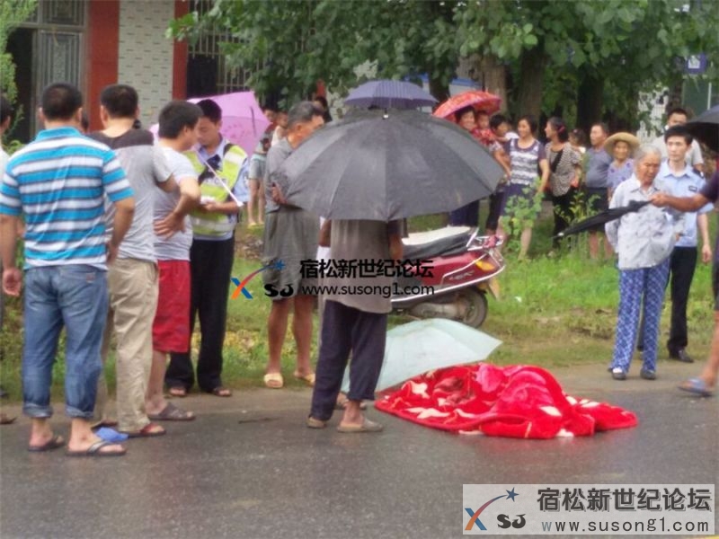 宿松油榨岭发生车祸至一人死亡宿松新世纪论坛